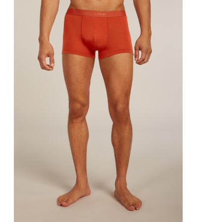 Бельо Icebreaker Merino Blend 125 Cool-Lite Anatomica Trunks