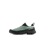 Обувки Mammut Alnasca IV Low GTX Men