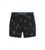 Icebreaker Merino 150 Anatomica Boxers Ski Day