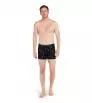 Icebreaker Merino 150 Anatomica Boxers Ski Day