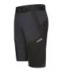 Direct Alpine Fremont Shorts 1.0 M's