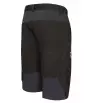 Direct Alpine Fremont Shorts 1.0 M's