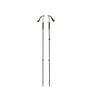 Black Diamond Trail Cork Trekking Poles