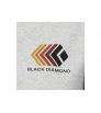 Black Diamond Faded Crop SS Tee W's